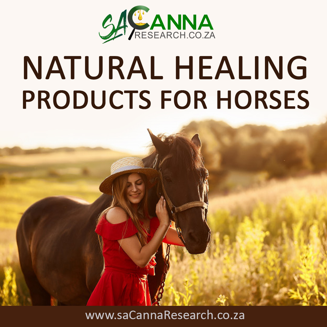 SA Canna - Products for Horses
